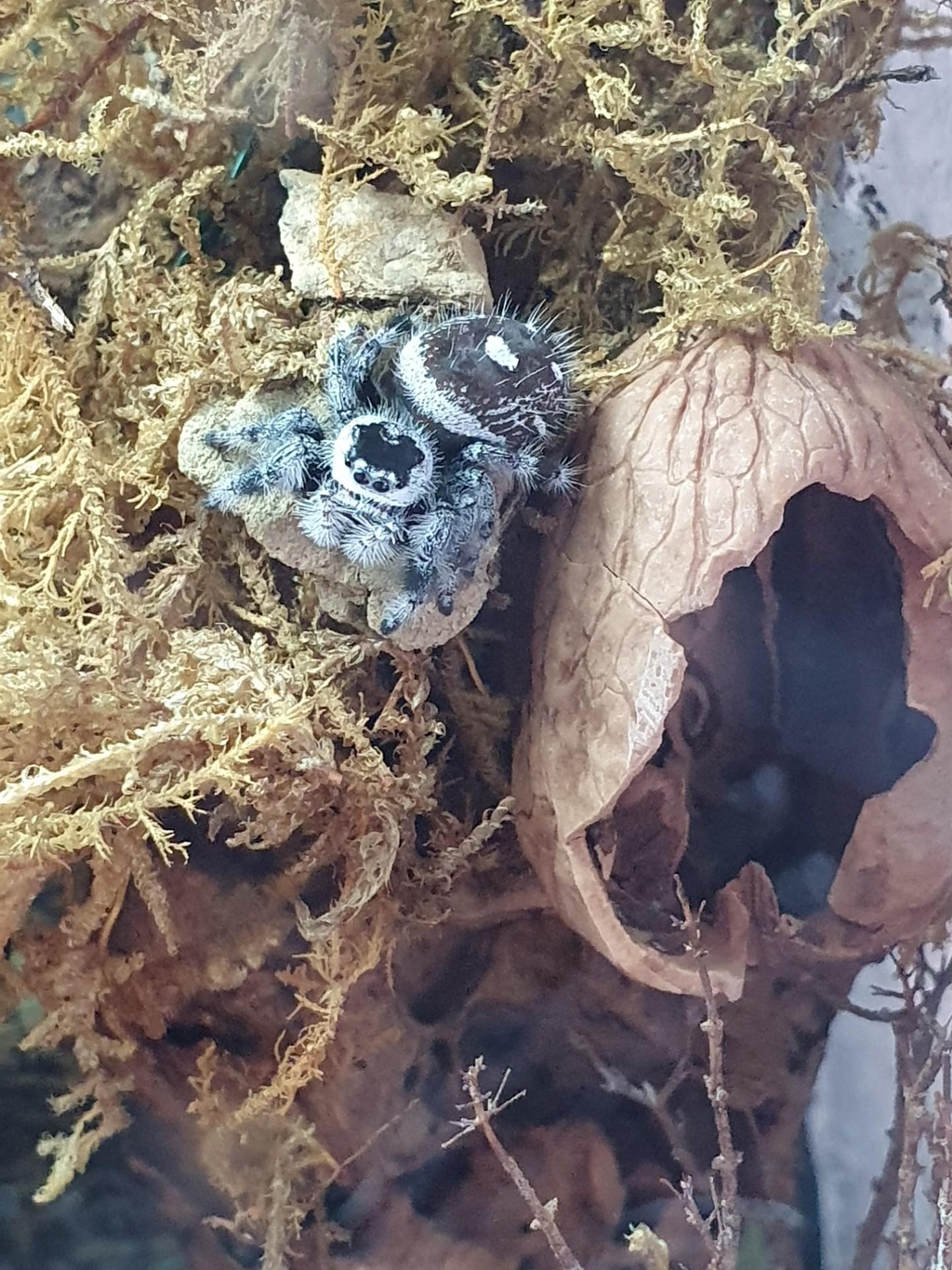 product_list_image_cover