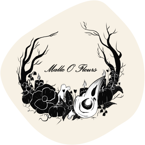 Bienvenue dans le grenier de MalleOfleurs 