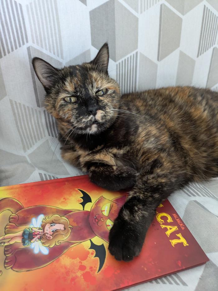 product_list_image_cover