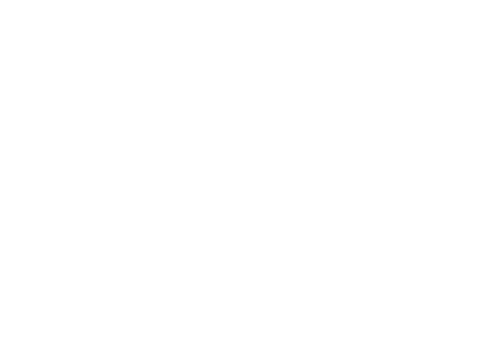 store_logo