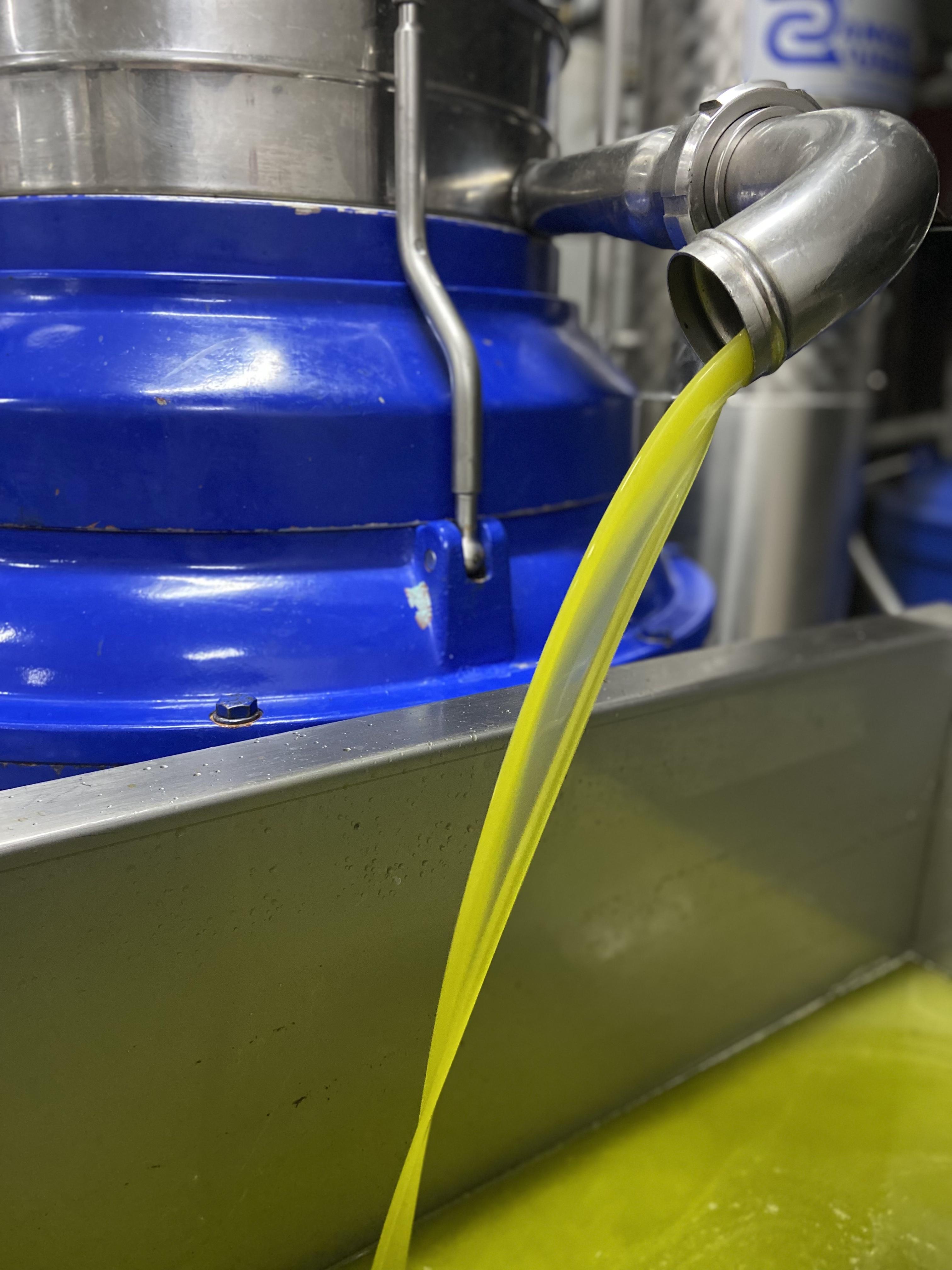 olio extravergine di oliva a km 0
100% italiano
olio EVO campania