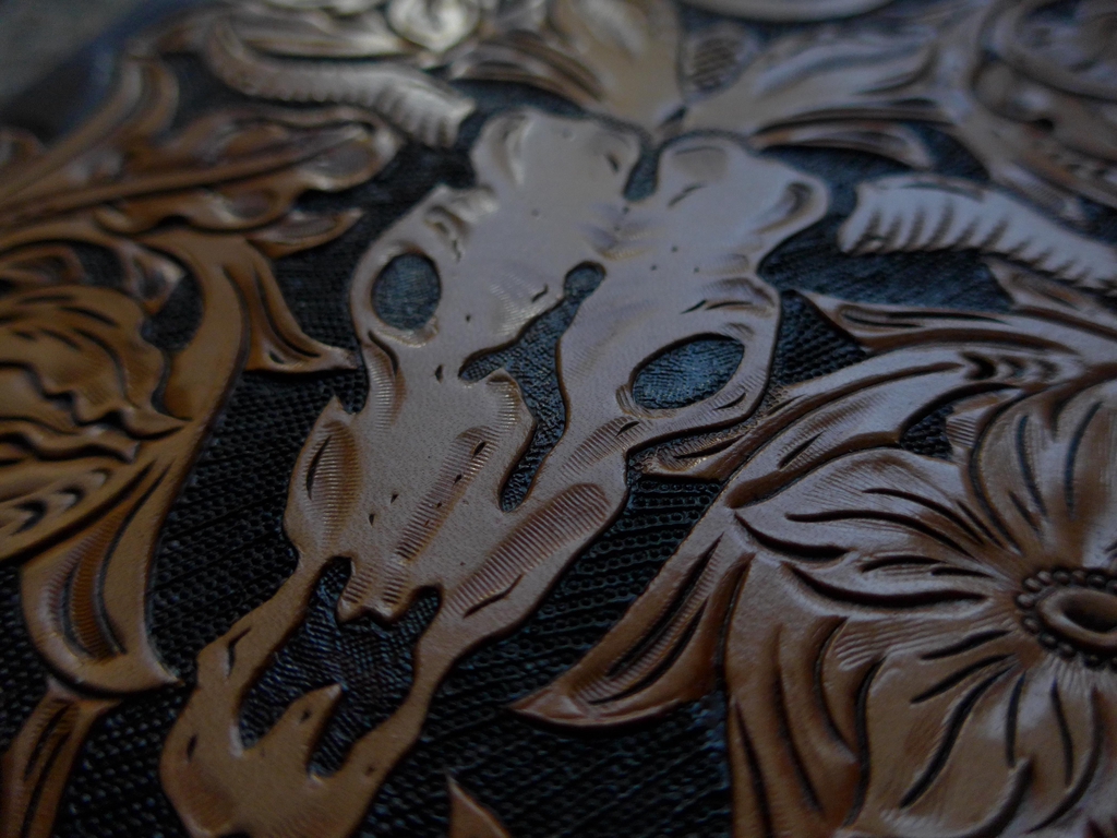 Banner image