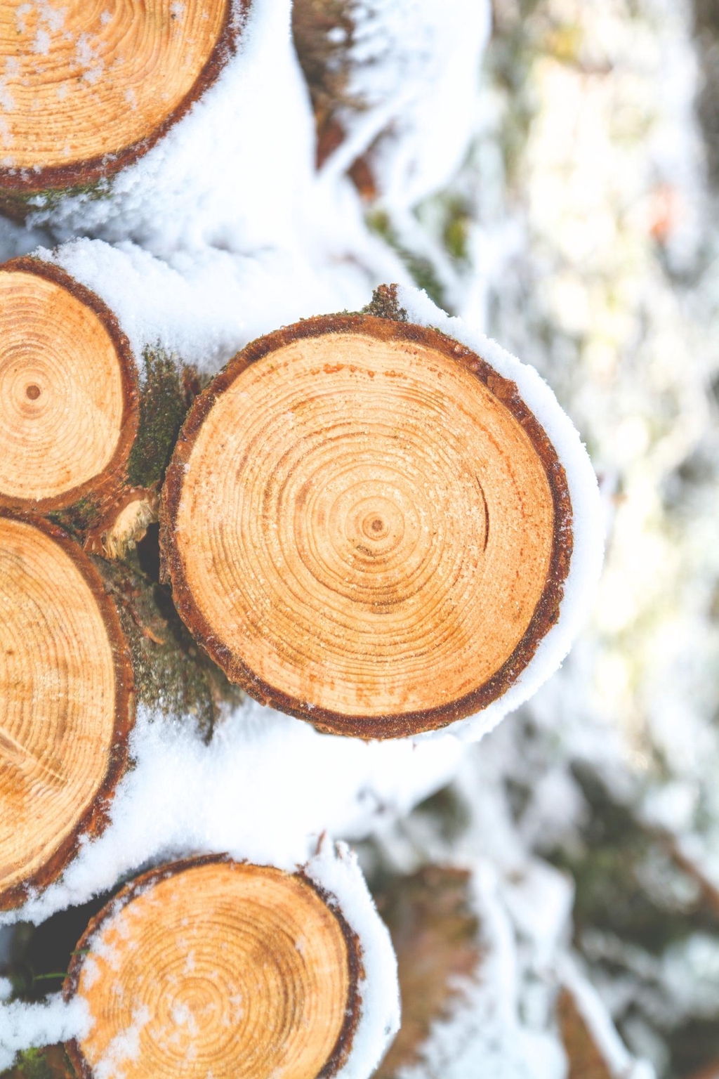 Pourquoi je ne travaille pas de bois exotique ?