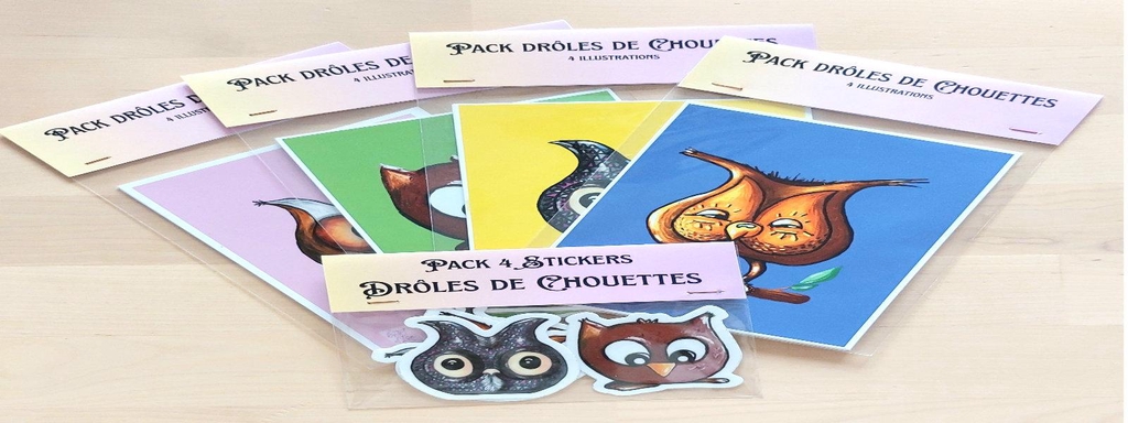 Packs de 4 illustrations digitales de différentes chouettes et un pack de 4 stickers de différentes chouettes nommés "Pack Drôles de Chouettes"