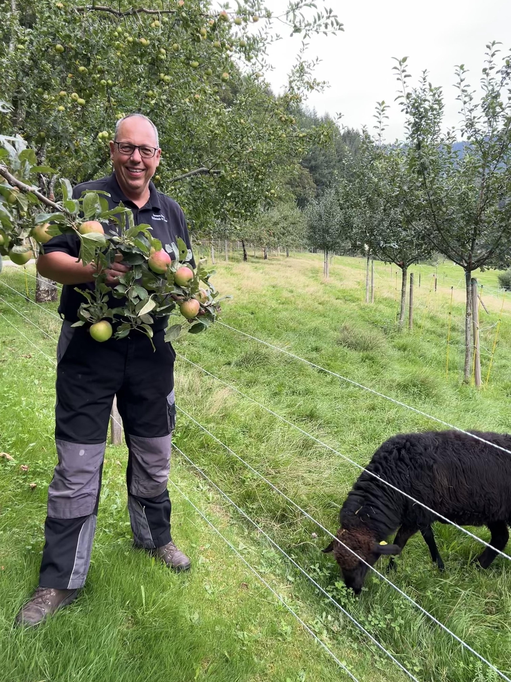 Pflege der Kulturlandschaft "Streuobstwiese"