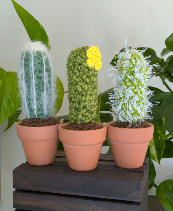 Crochet Plants