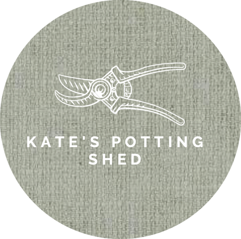 Kate's Potting Shed. Seasonal floral design rooted in the Shropshire countryside specialising in weddings, installations and lives special occasions.