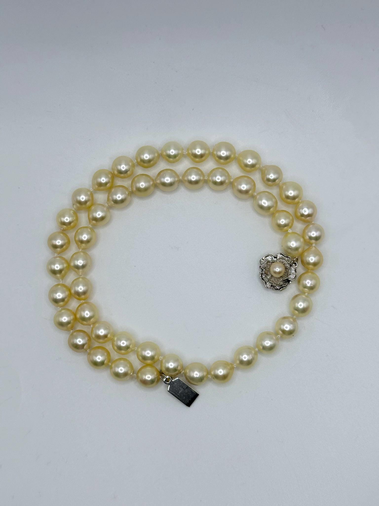 Perlas y corales