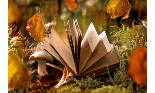 Histoire de Jennifer, la créatrice du site Elixirs & Potions