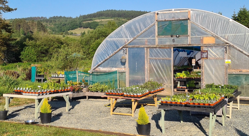 Croeso i Siop Meithrinfa Ardd  Ystwyth - Welcome to Ystwyth Garden Nursery Shop 