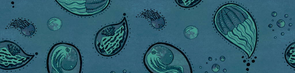 Home of the famous Smuggler's Pocket Pants!