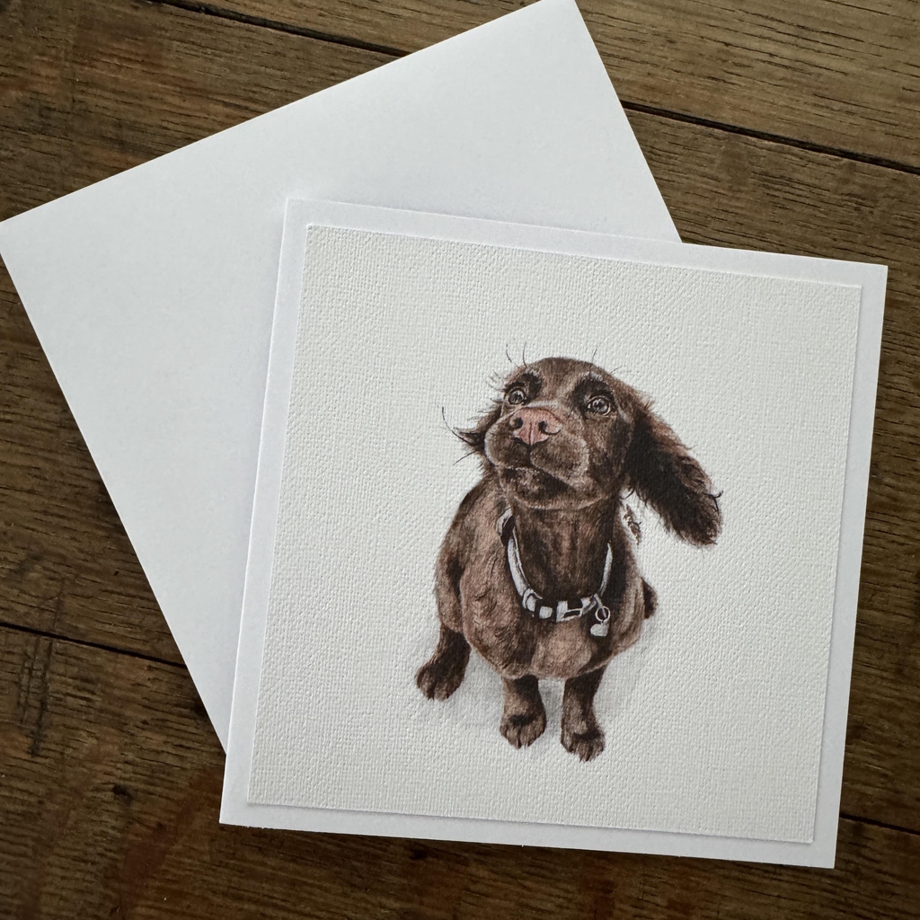 product_list_image_cover