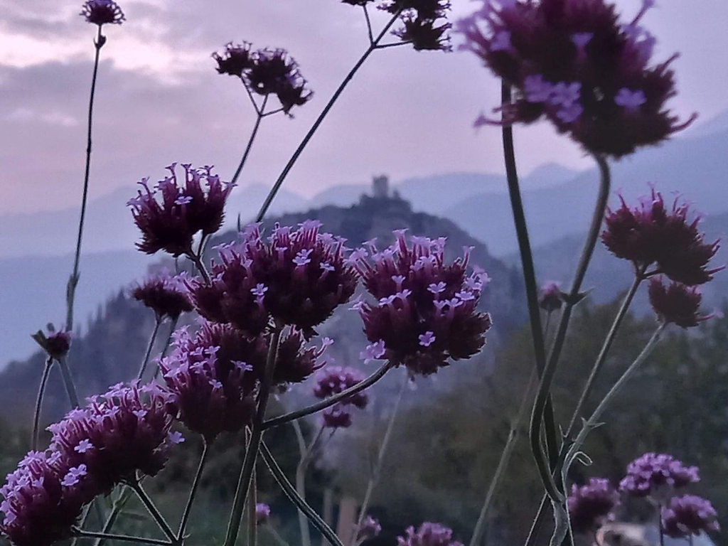 Il progetto

Mi presento. Sono Francesca, nata in una famiglia di origine e tradizione contadina. Sono sposata con Ivan e ﻿madre di tre figli. Svolgo anche un lavoro part time come impiegata con mansioni tecniche. Nel 2019, a seguito di percorso universitario presso UniTn come studente-lavoratrice, ho conseguito una laurea in Sociologia.

L’amore ed il rispetto per madre terra a e l’inclinazione verso ambiti di benessere sociale e individuale affiancati al mio impegno verso coltivazioni rispettose e su piccola scala, hanno prodotto idee innovative ed originali per l'utilizzo di terreni marginali e dislocati i varie zone della valle. Sono finalmente riuscita a dare alla luce ilsogno di aprire questa piccola azienda agricola.

Contattac