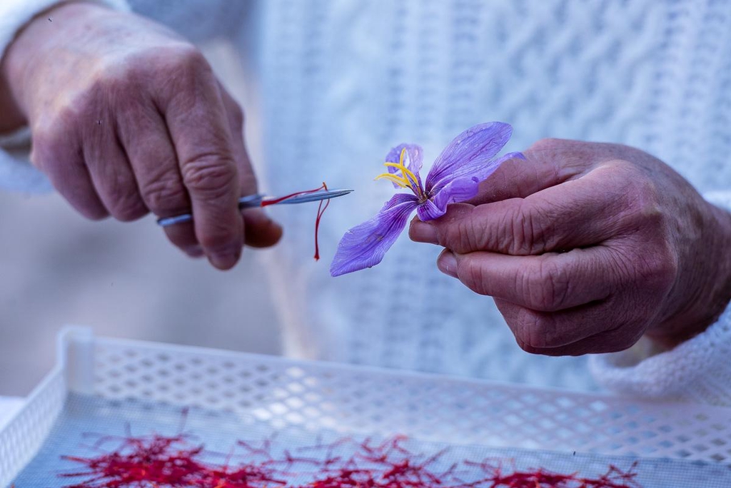 product_list_image_cover