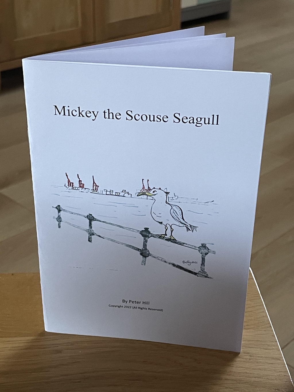 A delightful series of short children’s stories written in verse set in the great city of Liverpool by the mighty river Mersey.
