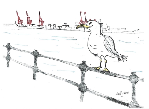Mickey the Scouse seagull