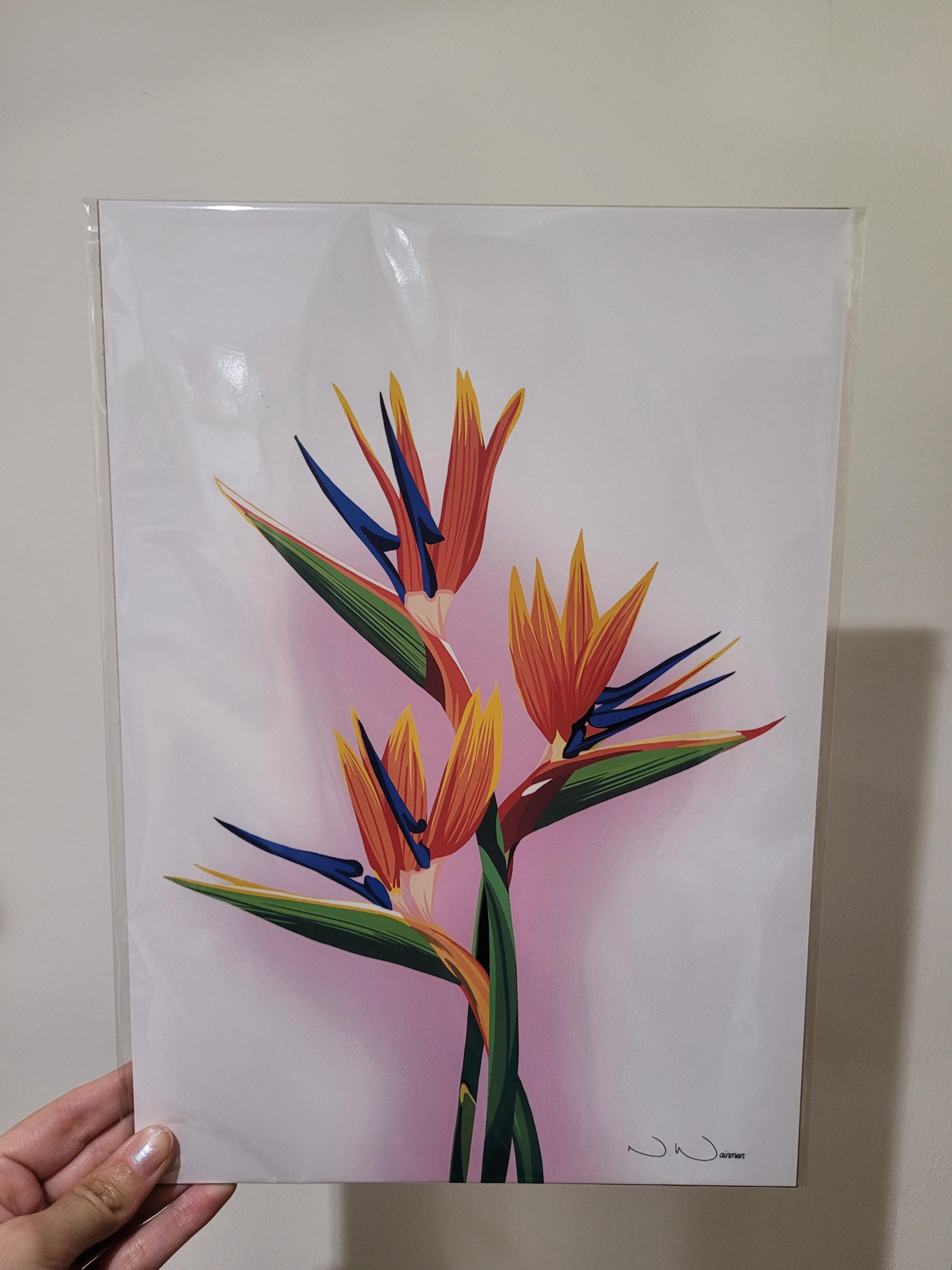 Straight To The Print