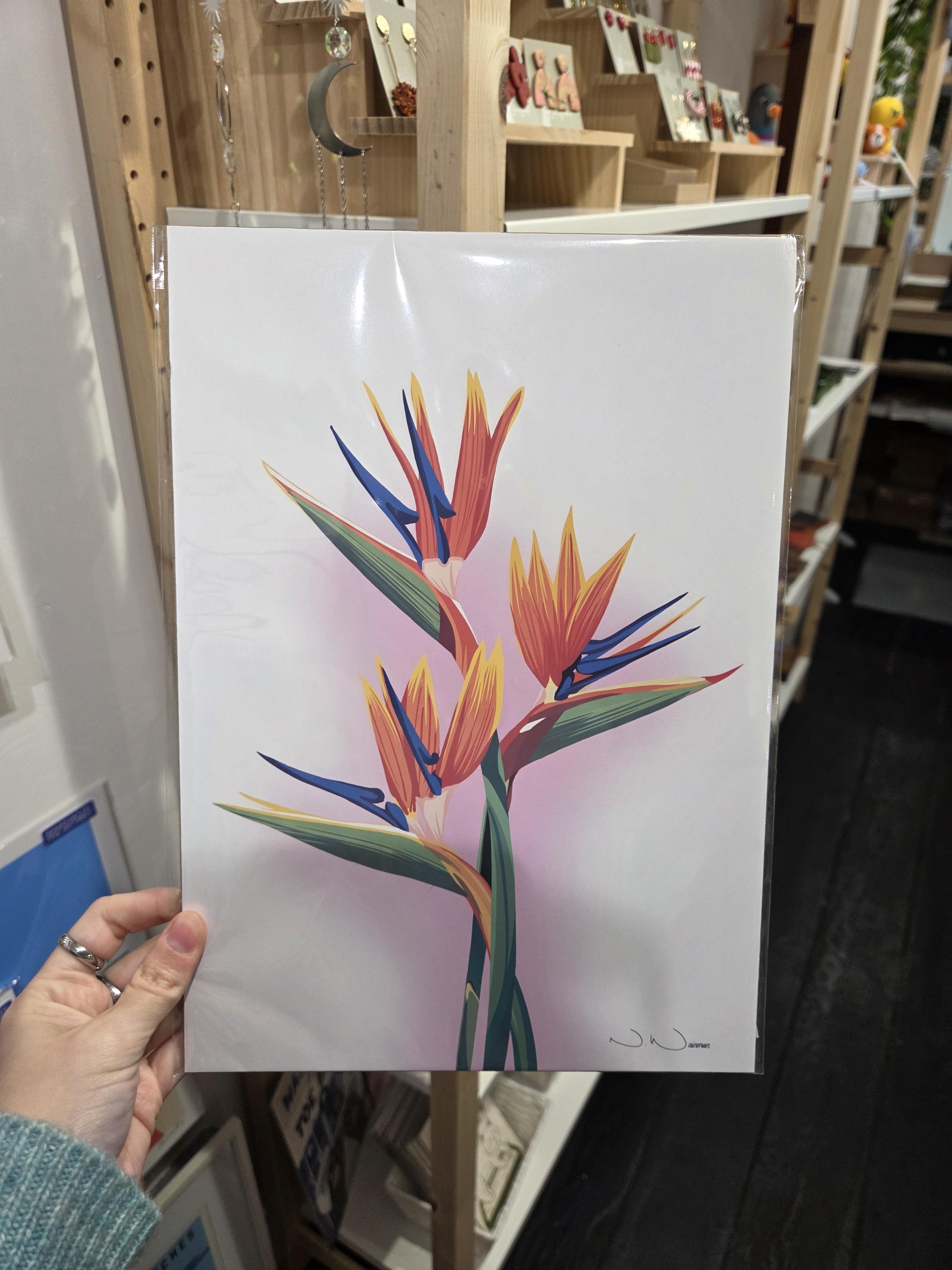 Straight To The Print