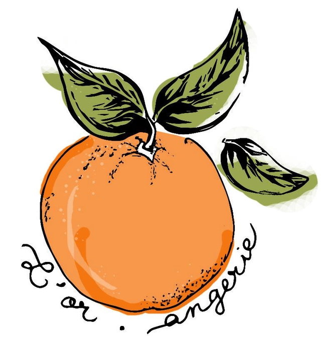 store_logo