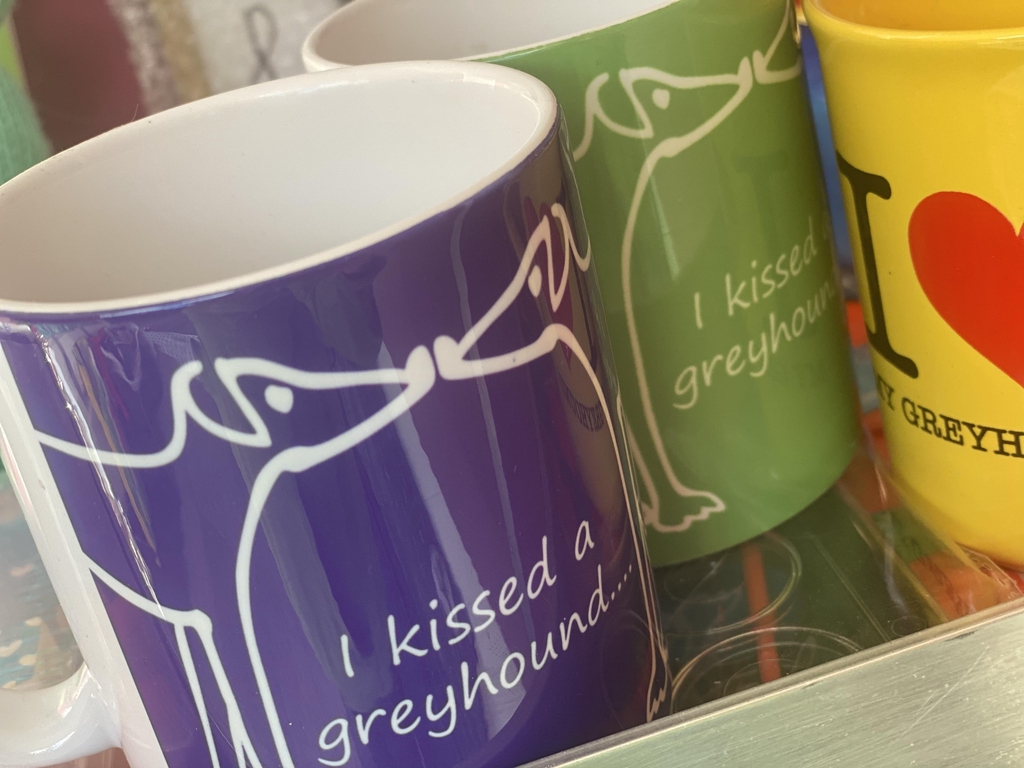 Welcome to Paddock Kennels Darlington store!