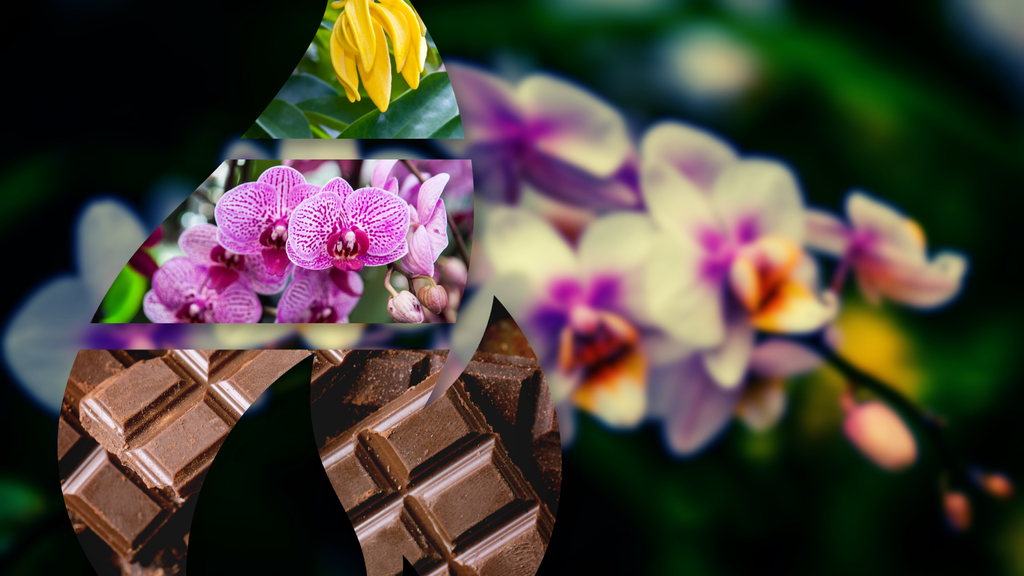 banner_image