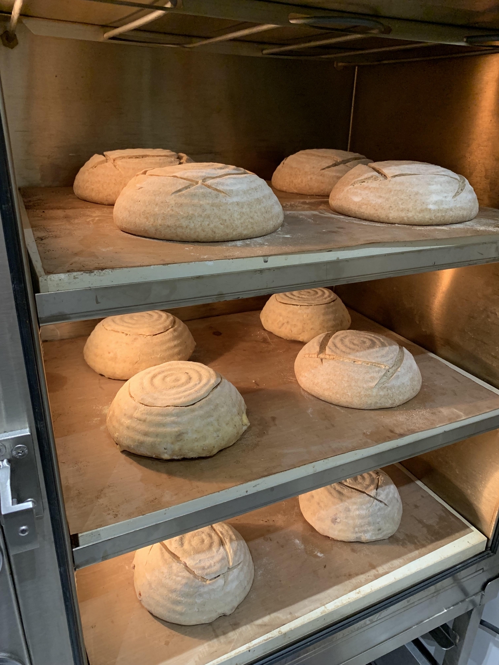 Orders & Collections