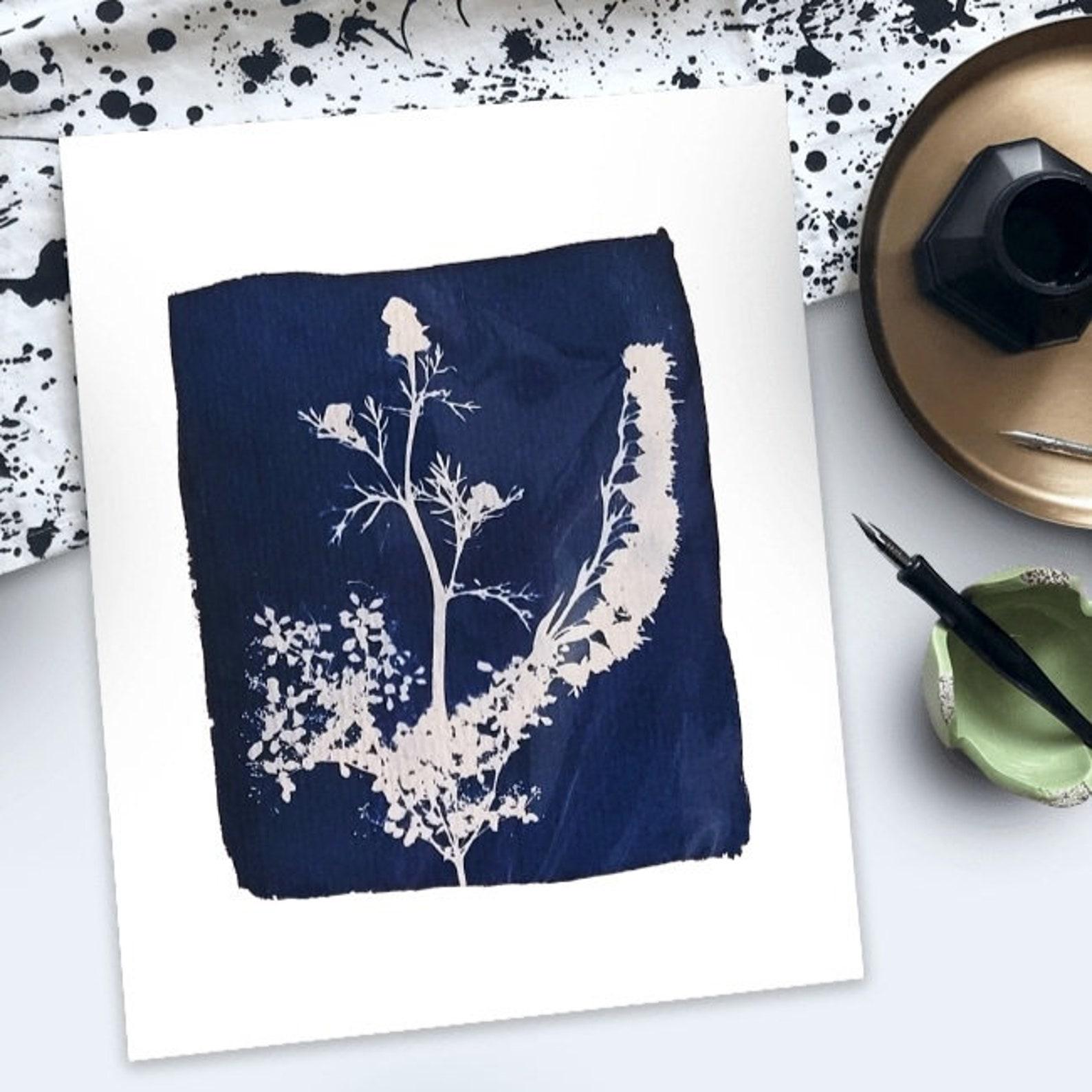 Mini Original Cyanotypes