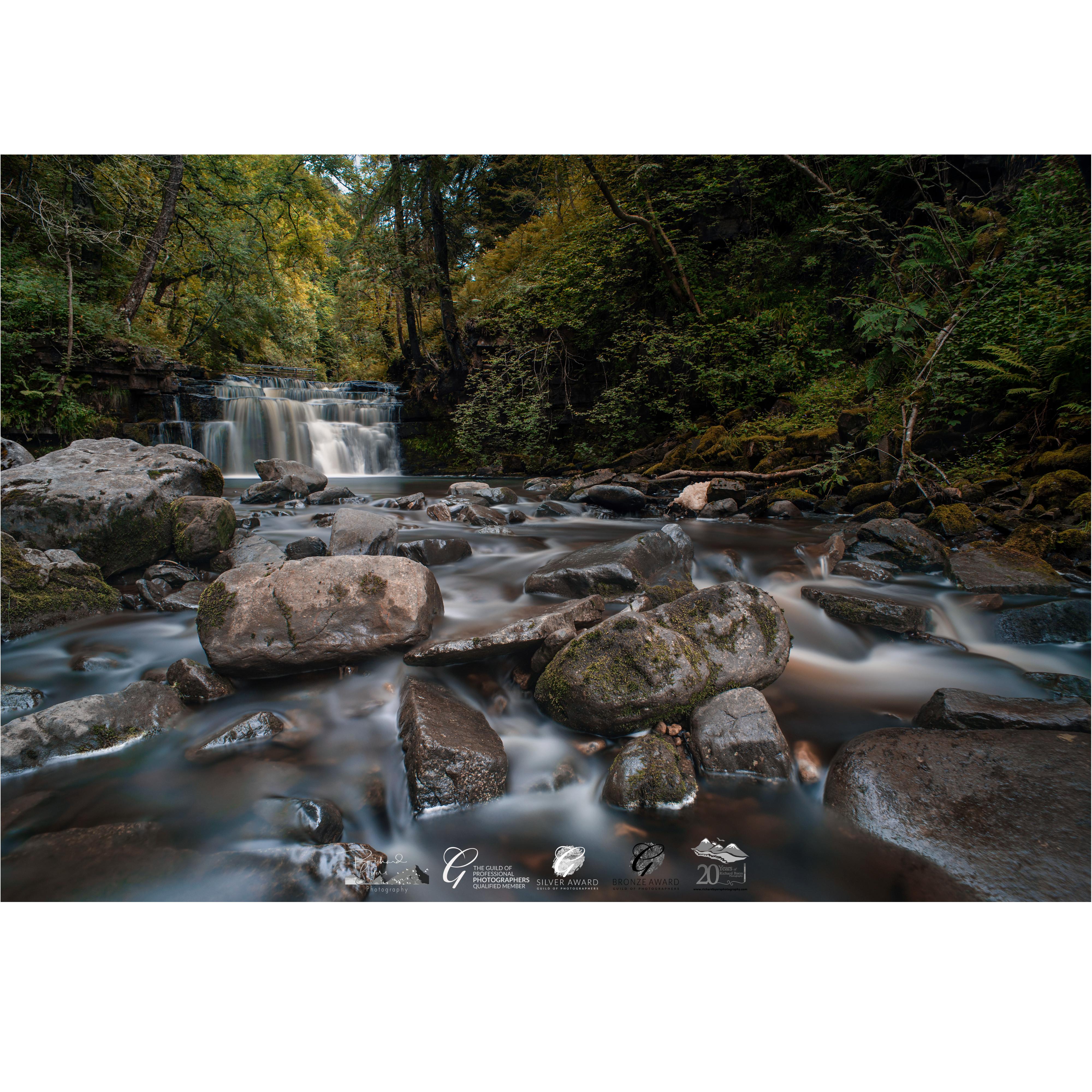 Forests & Nature