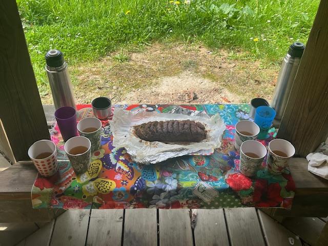 sophrobalade, atelier kokedama, balade nature, moment convivial