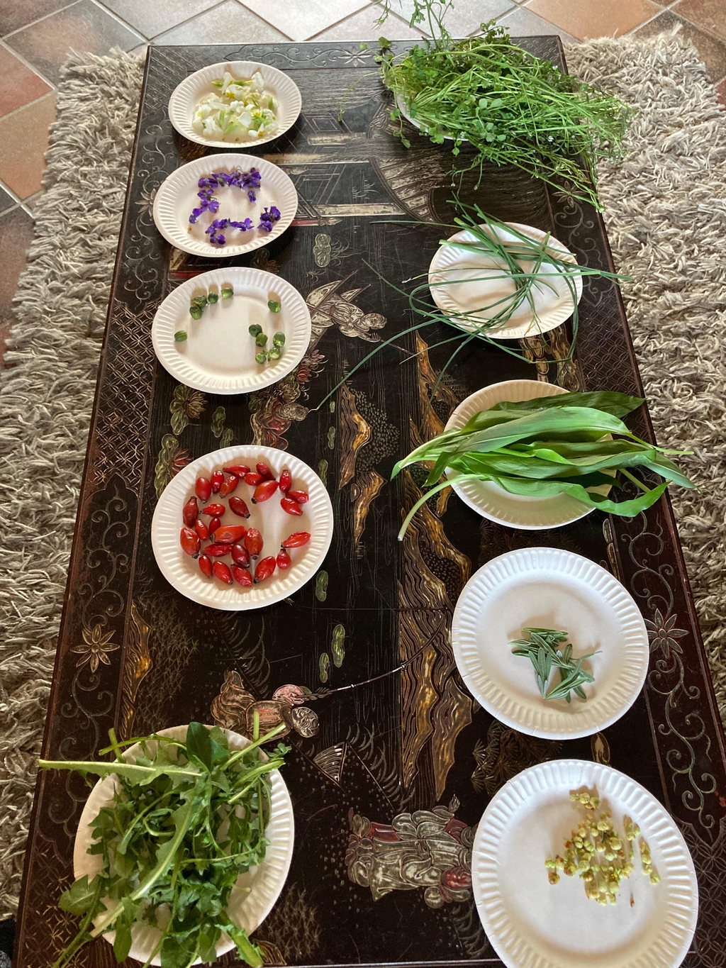 plantes sauvages comestibles, balade nature, échappée végétale
