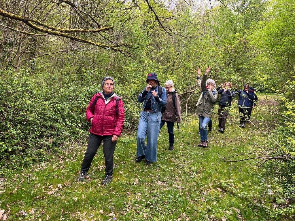 marche en pleine nature, sophrobalade, respiration