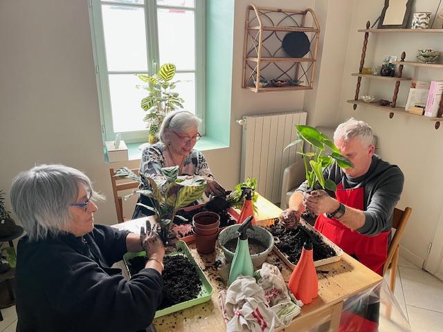 atelier kokedama Juziers, échappée végétale zensphere creative