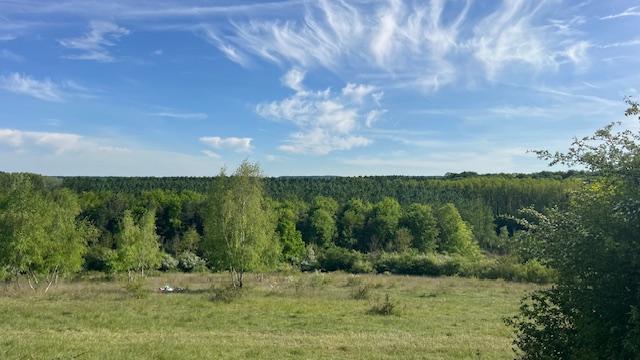balade en pleine nature, kokedama, échappée végétale