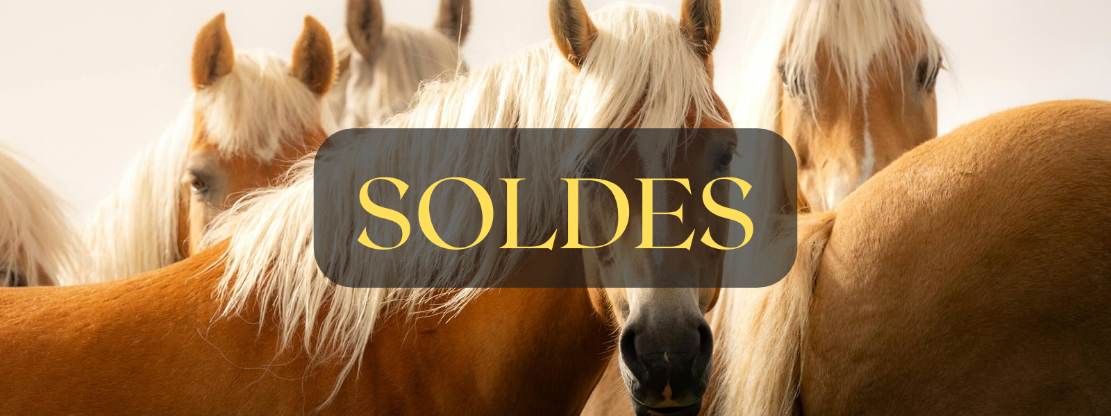 Les Soldes