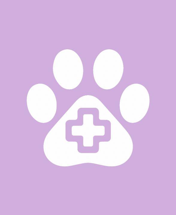 INTEGRATORI e VETERINARIA