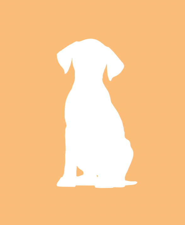 Cibo per il  tuo cane