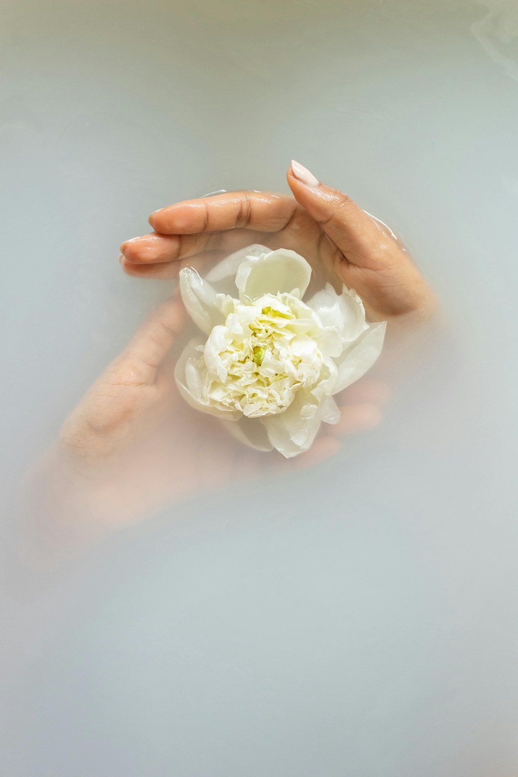 Ayurveda e Bellezza 
La Saggezza della Vita ... Un Tocco che Cura 