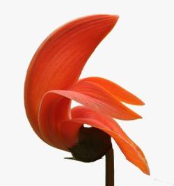 Fragranze che danno Nuova Vita alla Pelle e allo Spirito