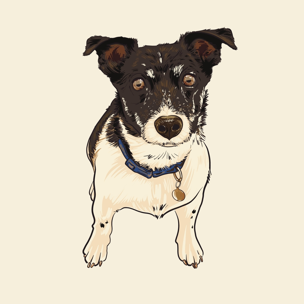Pet Portrait