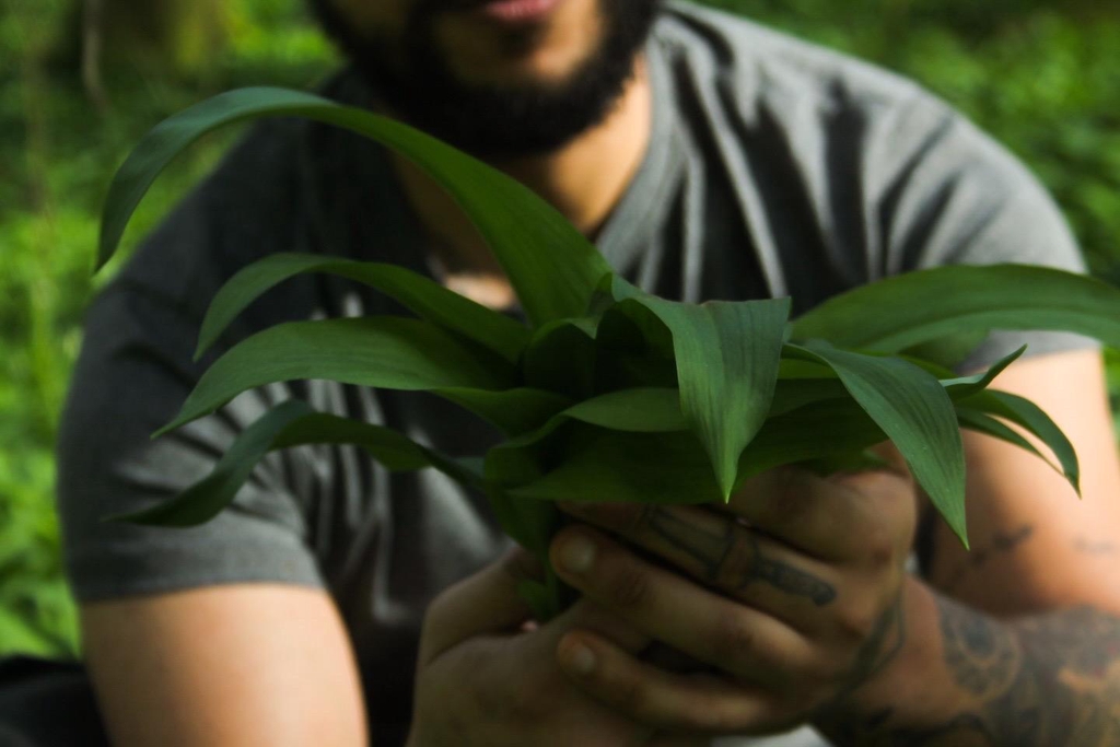 banner_image