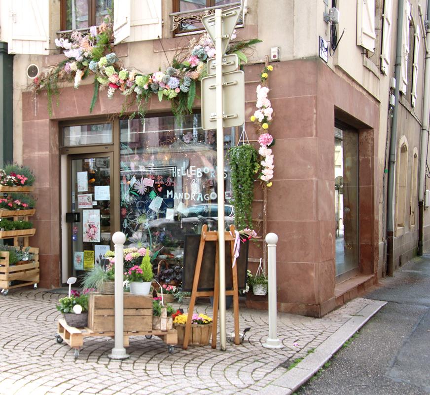 Retrouvez Pulsion créative au 53 rue de la République près du château de Lunéville