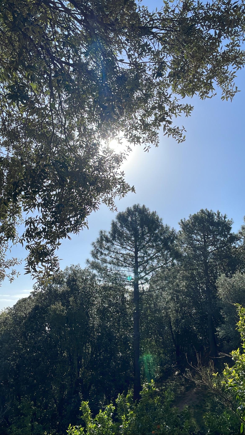 Le Temple Maïa, Concept Store Tattoo, 
Le fil des saisons comme inspiration.