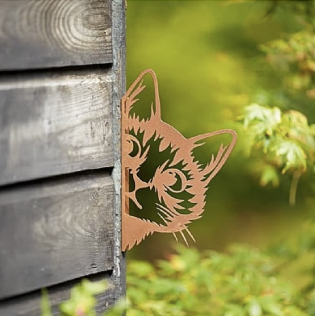product_list_image_cover