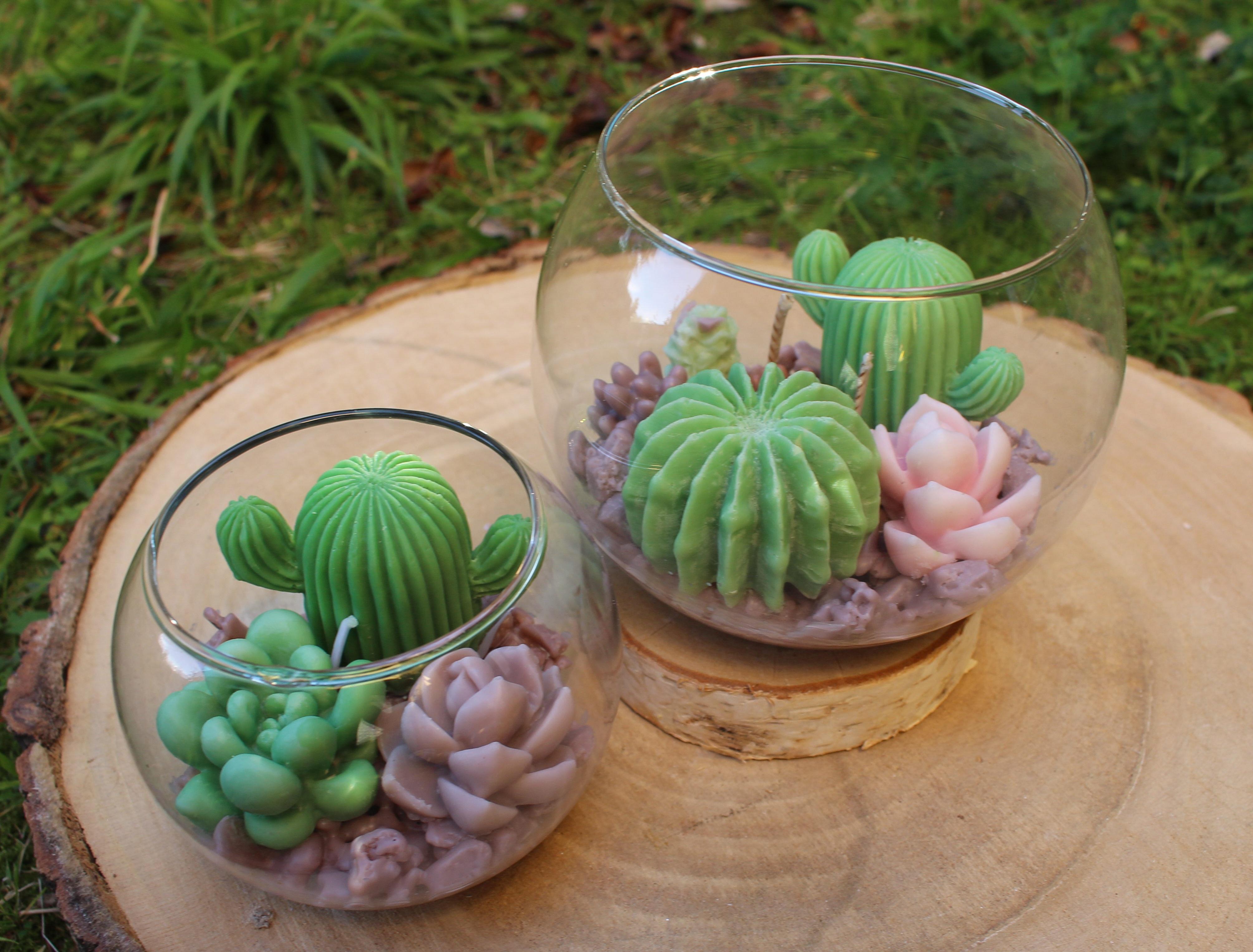 Terrarium