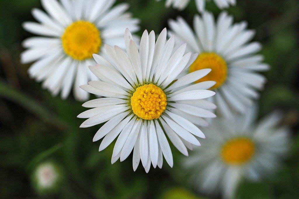 banner_image