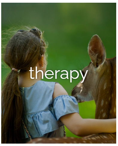 Talking Therapy