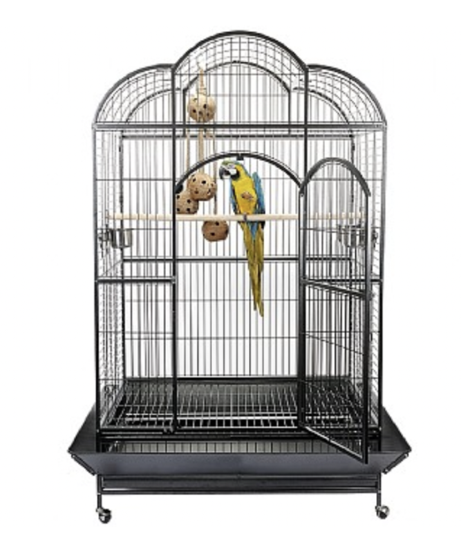 Parrot Cages & Carriers