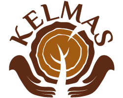 store_logo