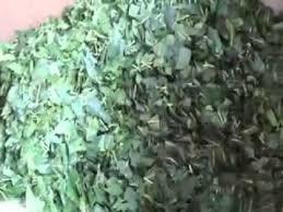 Tisane