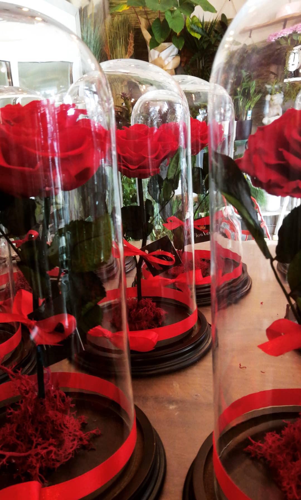 product_list_image_cover